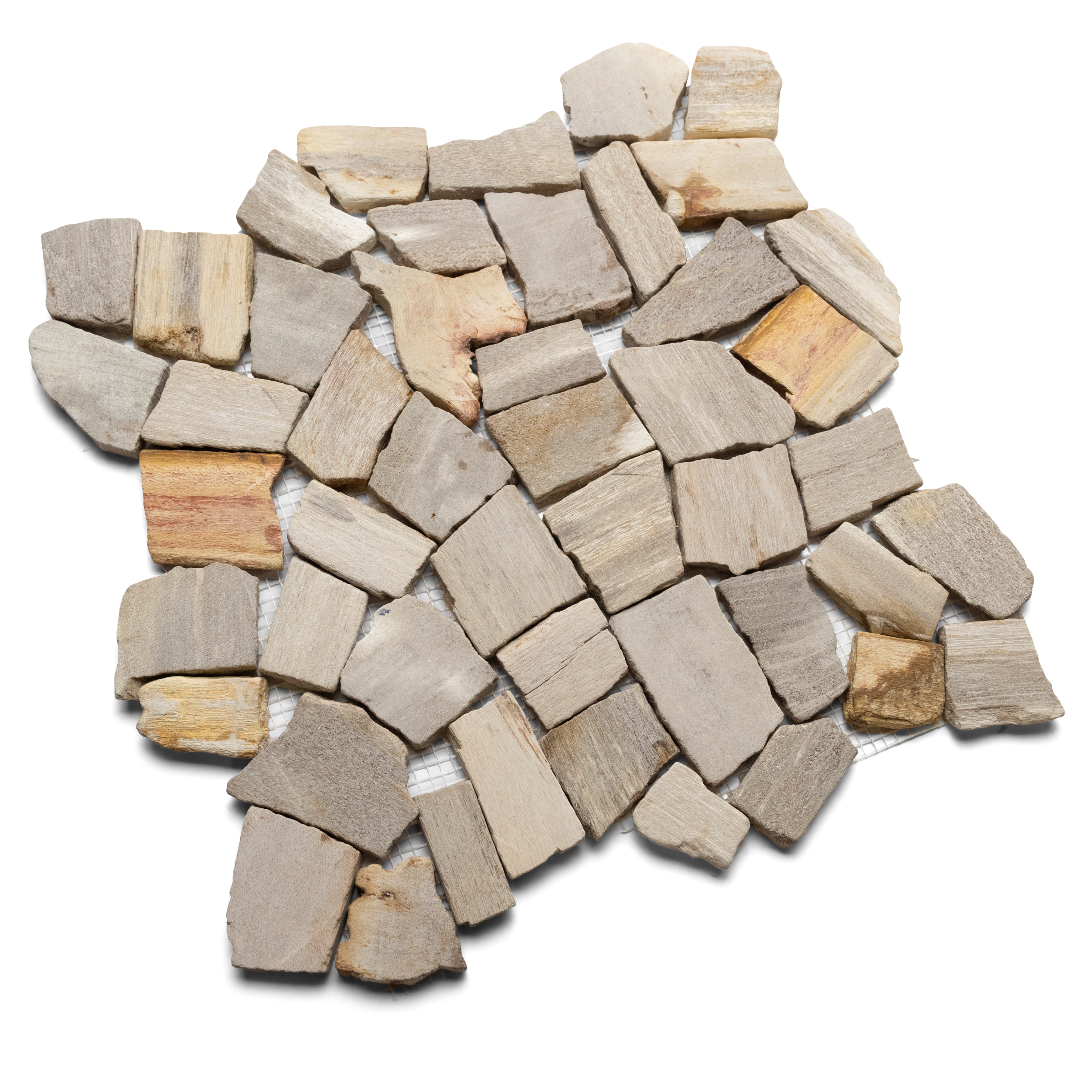 Petrified Wood Stone Mosaic Tile - Pebble Tile Shop