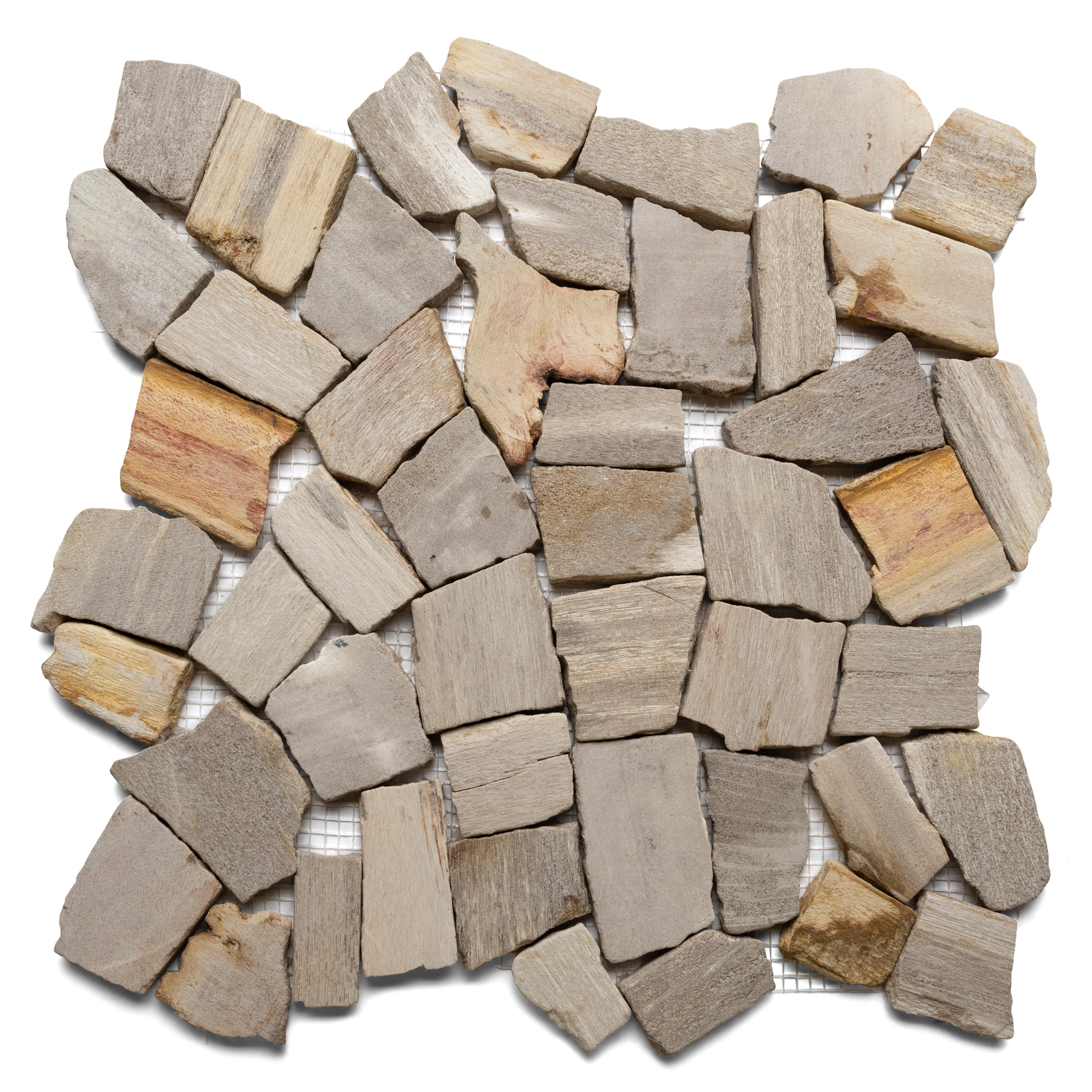 Petrified Wood Stone Mosaic Tile - Pebble Tile Shop