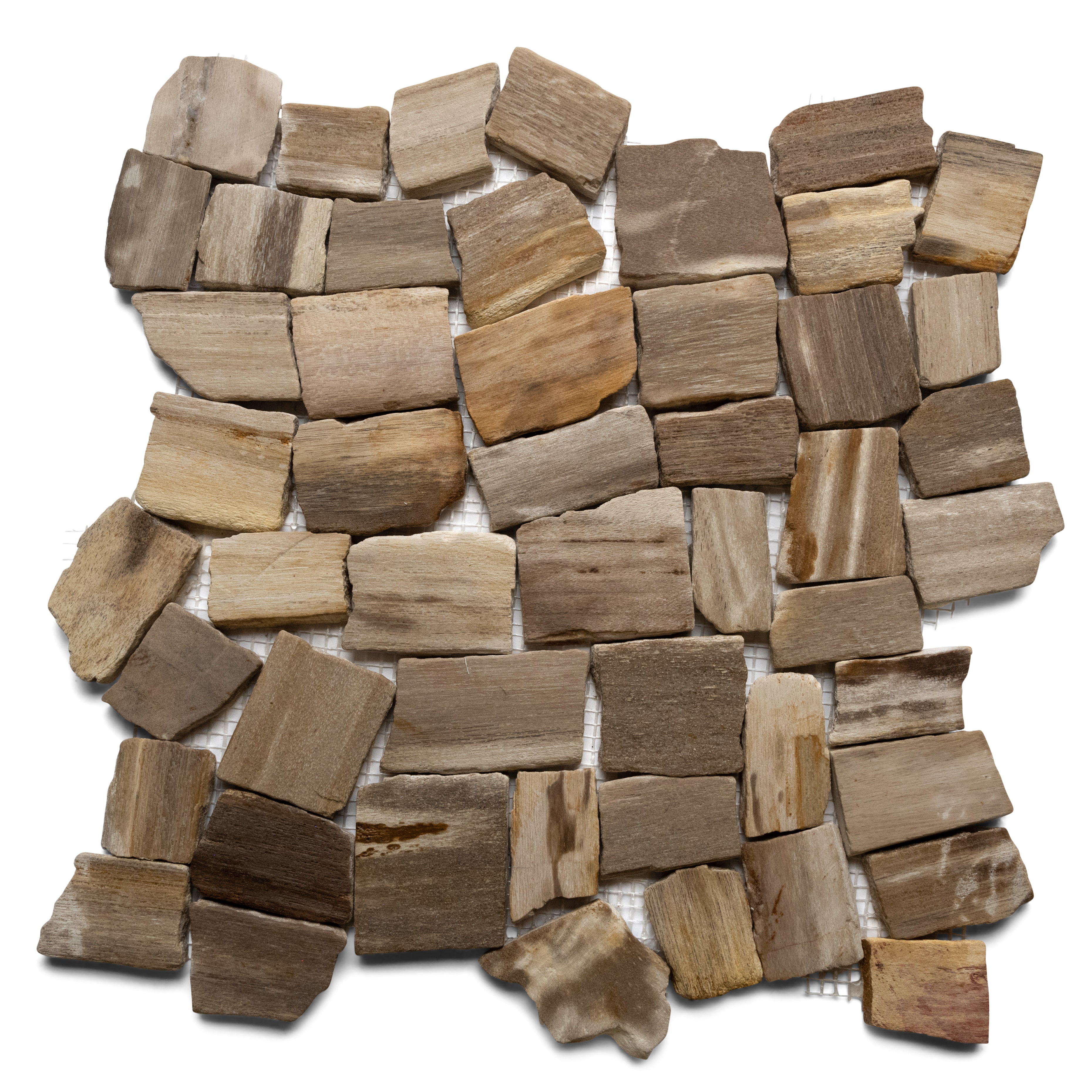 Petrified Wood Stone Mosaic Tile - Pebble Tile Shop
