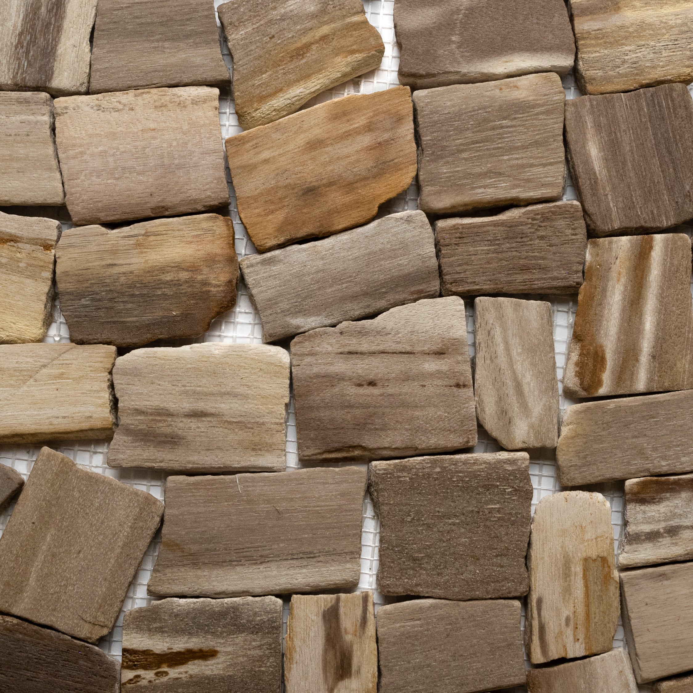 Petrified Wood Stone Mosaic Tile - Pebble Tile Shop