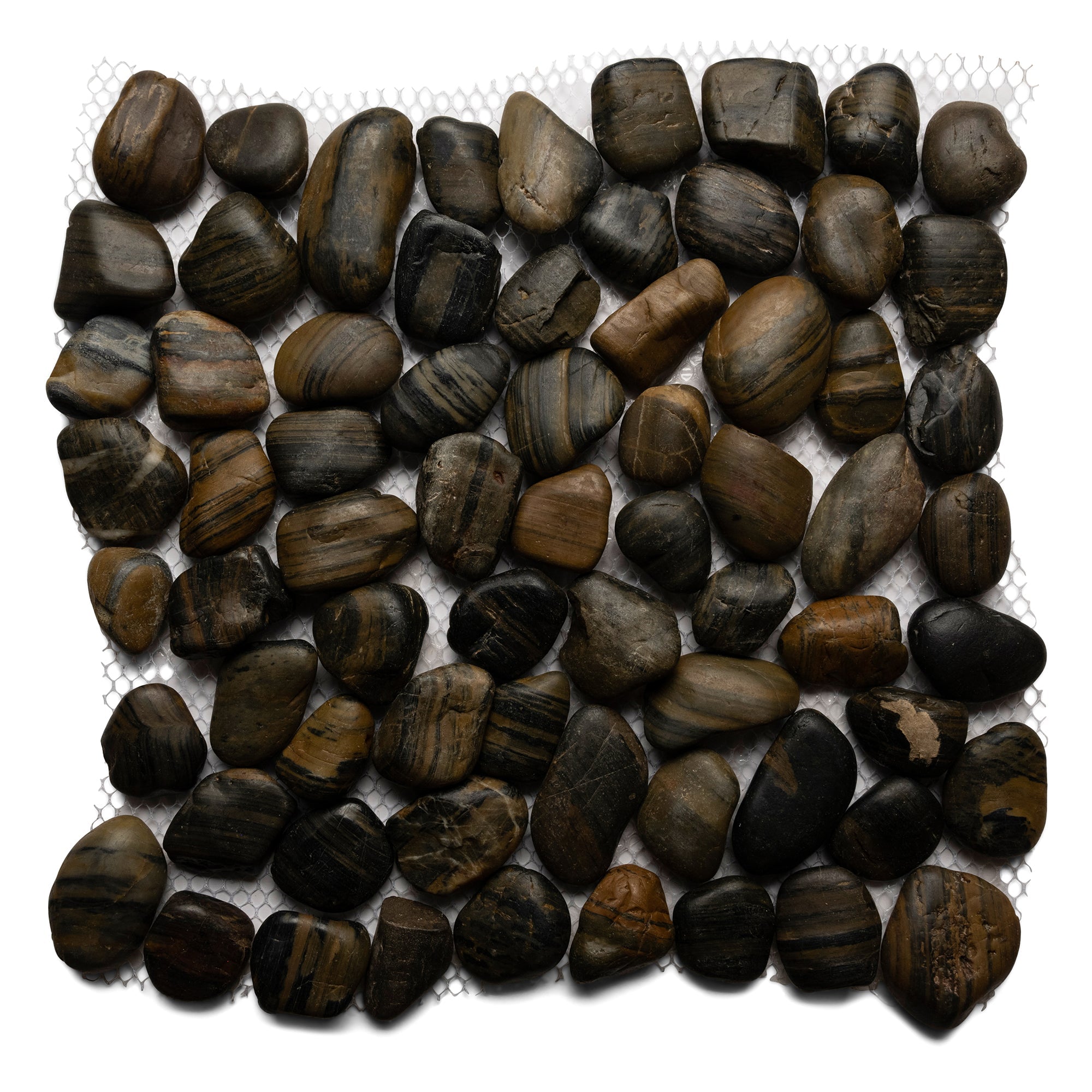 Polished Tiger Eye Pebble Tile - Pebble Tile Shop