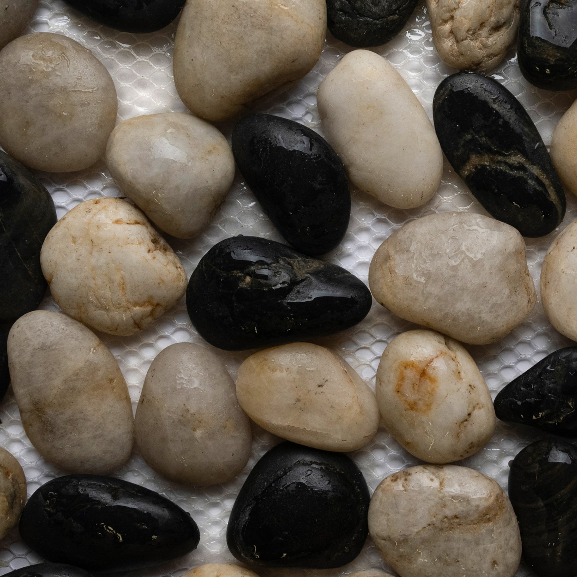 Polished Black and White Pebble Tile – 12" x 12" Natural Stone Mesh-Backed Tiles for Showers Bathrooms Backsplashes Kitchen Décor & Wall Panels - Pebble Tile Shop