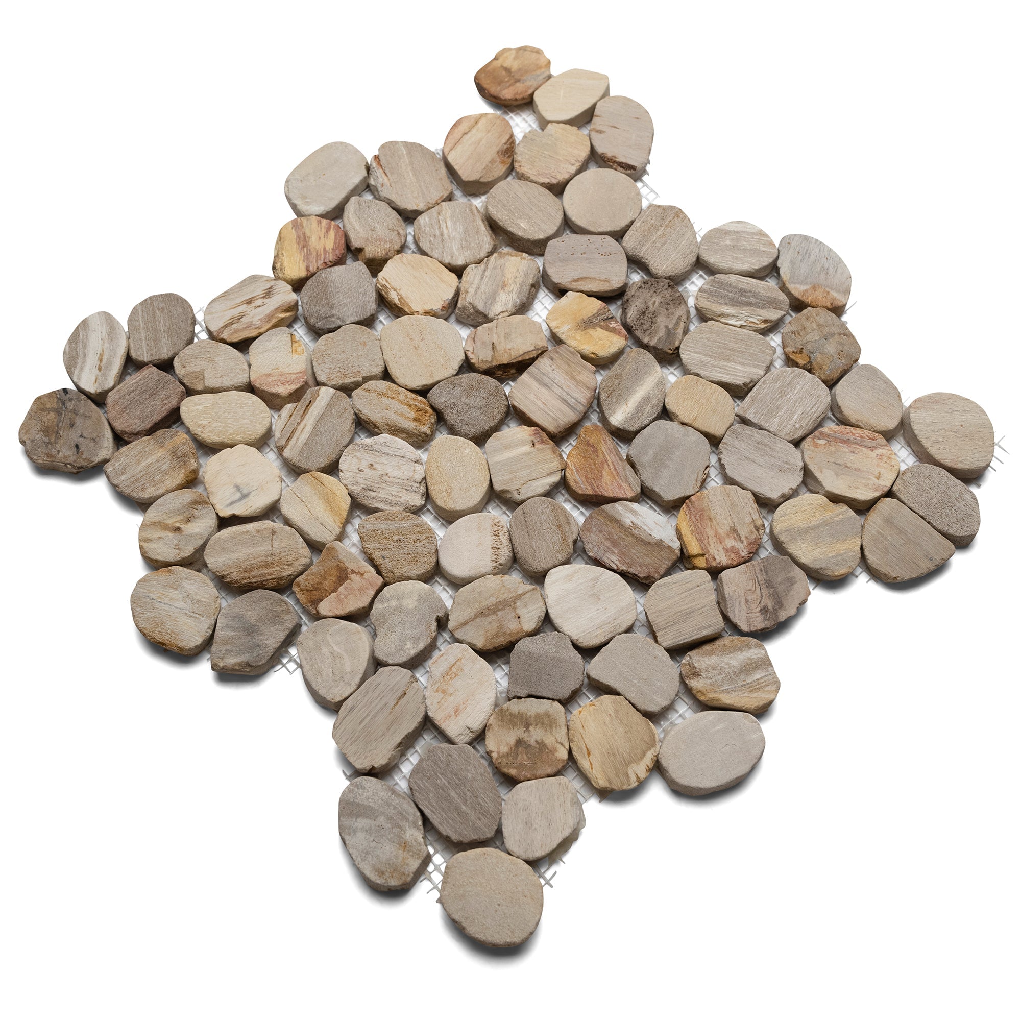 Sliced Mini Oval Petrified Fossil Pebble Tile - Pebble Tile Shop