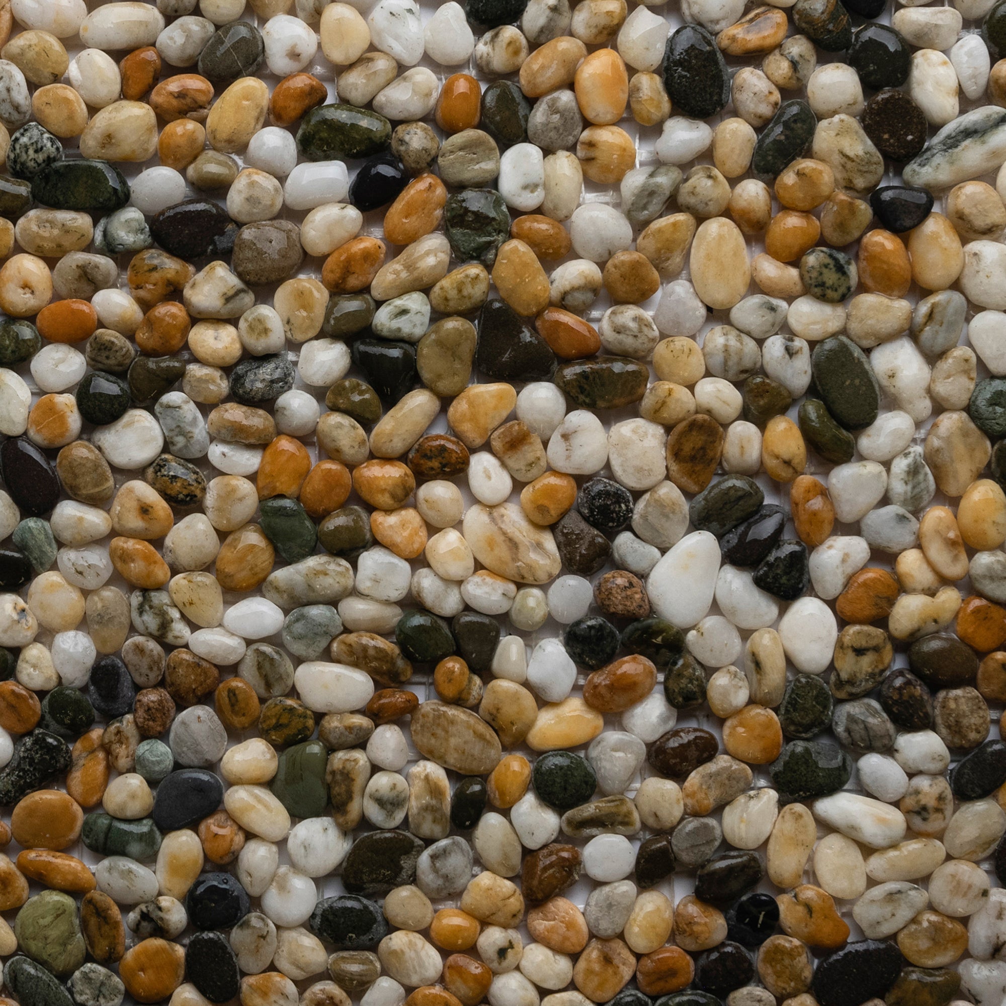 Yellow Gold Mixed Mini Pebble Tile - Pebble Tile Shop