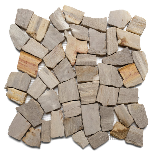 Petrified Wood Stone Mosaic Tile