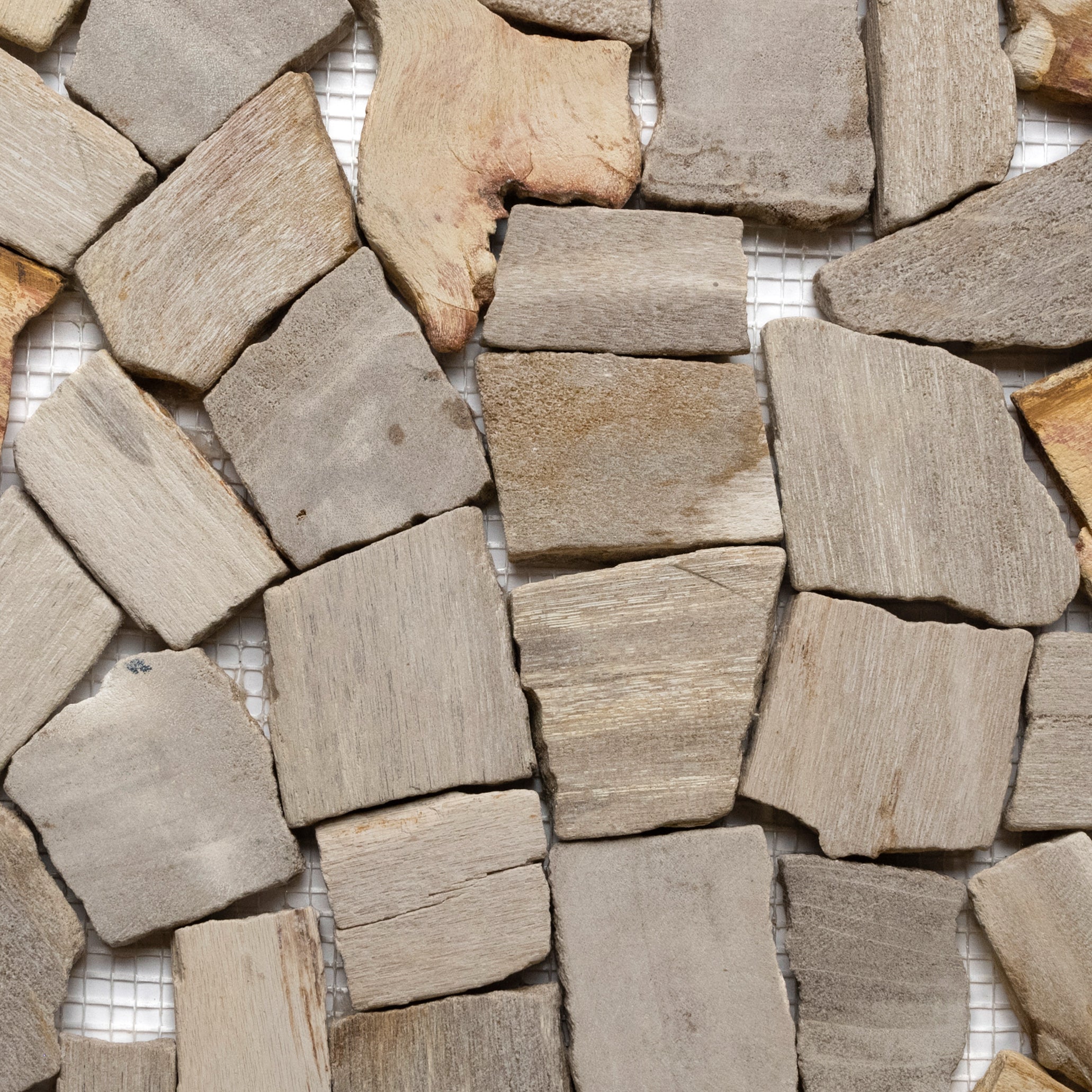 Petrified Wood Stone Mosaic Tile - Pebble Tile Shop