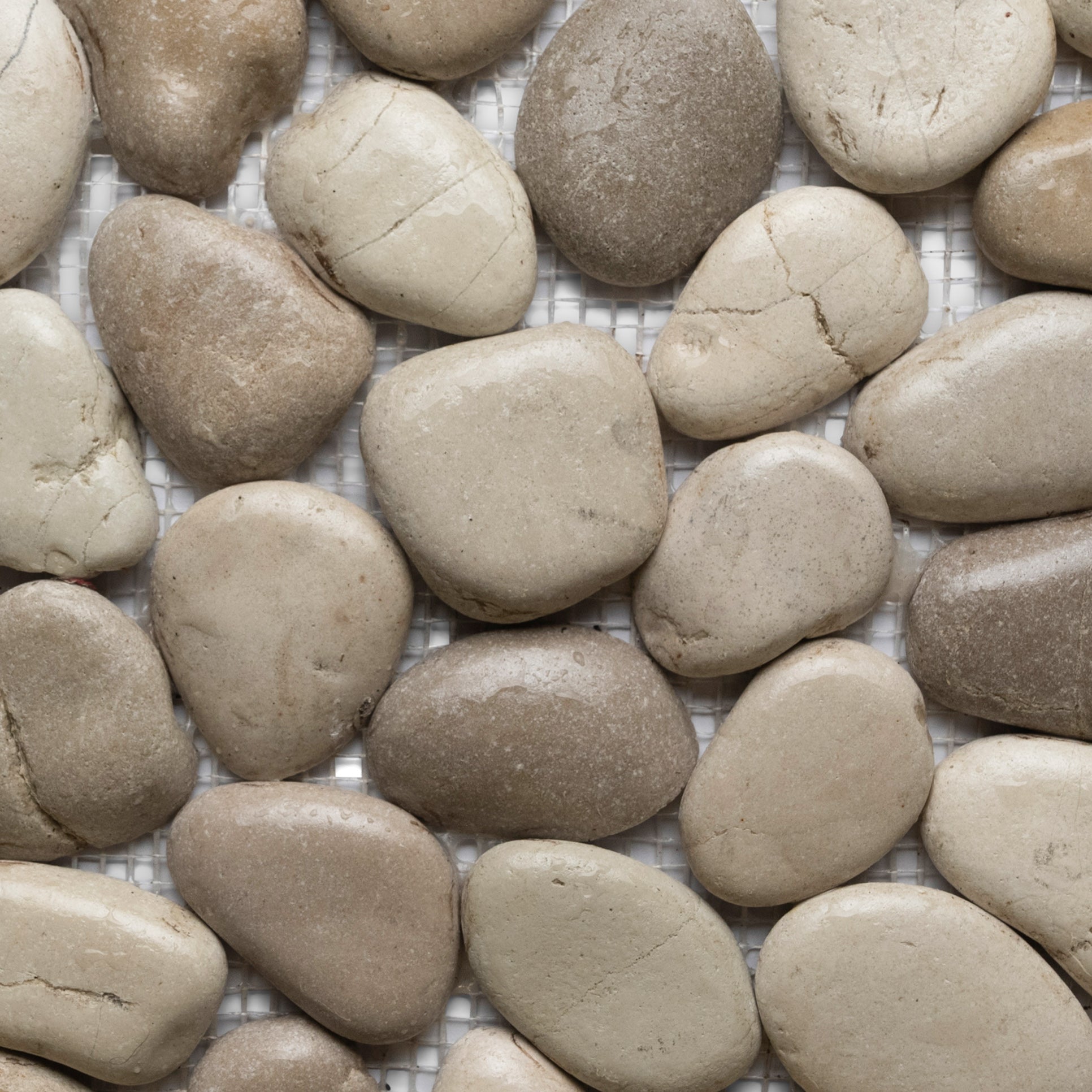 Glazed Java Tan and White Pebble Tile - Pebble Tile Shop