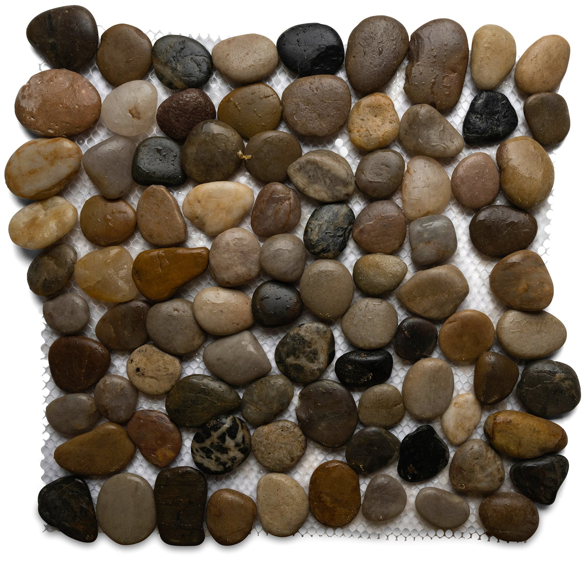 Kt Pebble Polished Cobblestone Pebble Tiles | Pebble Tile Shop